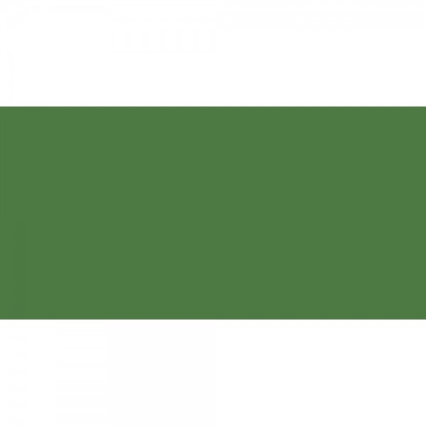 Υδατοδιαλυτό Παστέλ Neocolor II Chromium Oxyde Green