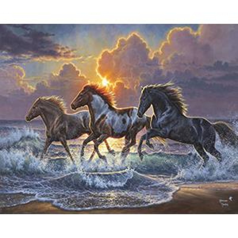 Ζωγραφική με Αριθμούς Τελάρο 40x50cm Άλογα στο ηλιοβασίλεμα