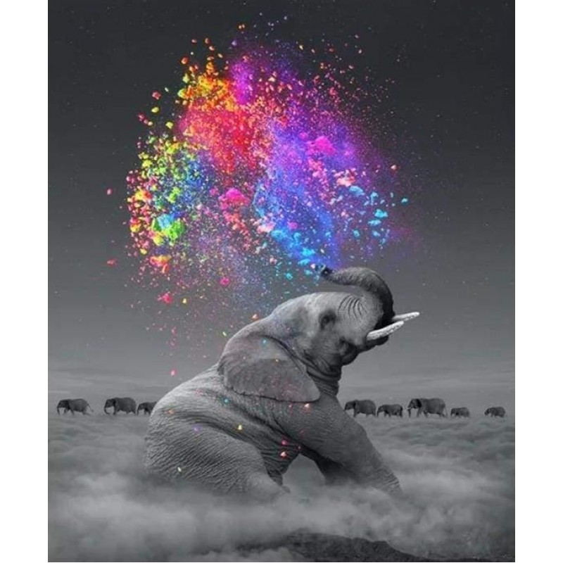 Ζωγραφική με Αριθμούς Τελάρο 40x50cm Ελέφαντας με χρώματα