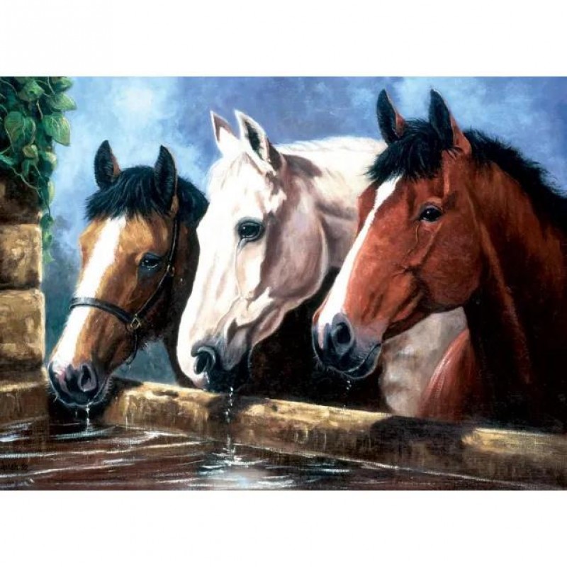 Ζωγραφική με Αριθμούς 30x40 cm 3 Άλογα