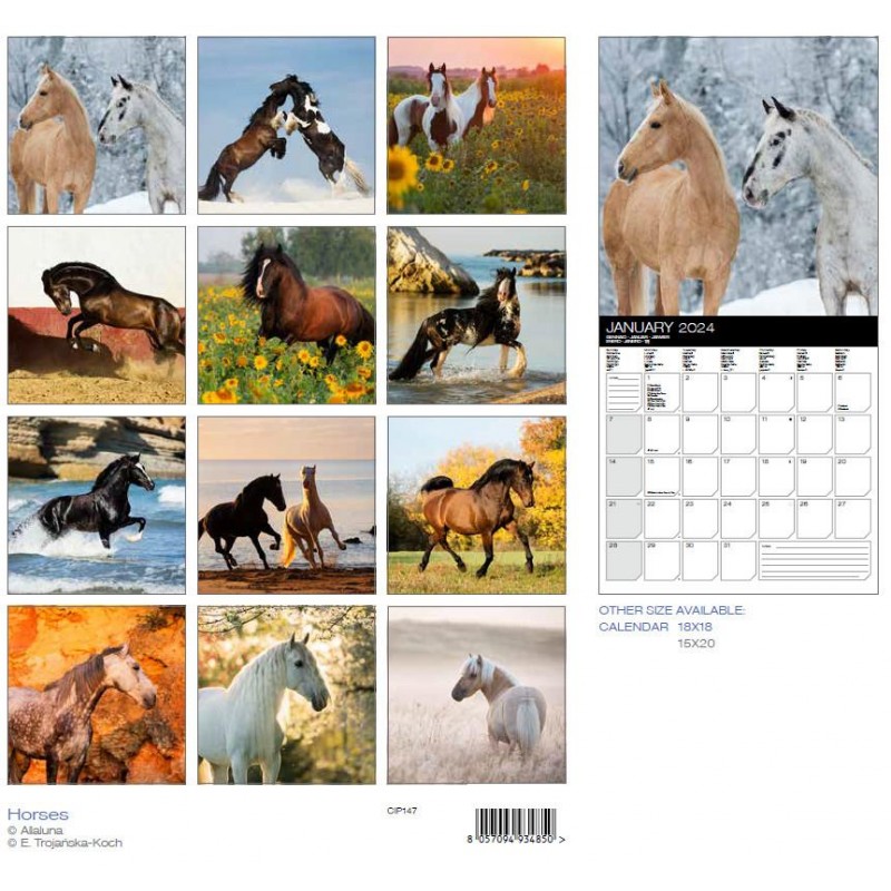 2024 Wall Calendar 30x30cm Horses