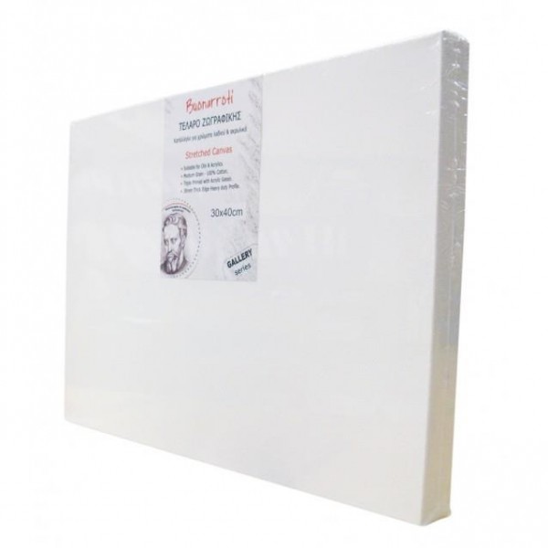 Buonarroti Χονδρό Τελάρο Ζωγραφικής (Box) 50x100cm με βαμβακερό καμβά Buonarroti Χονδρό Τελάρο Ζωγραφικής (Box) 50x100cm με βαμβακερό καμβά